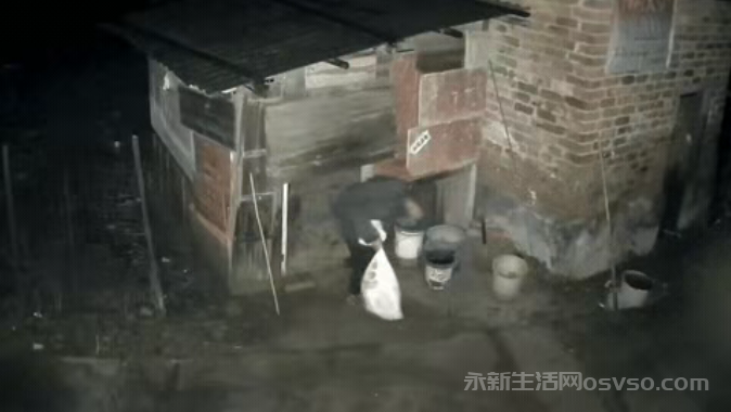 永新一男子半夜偷鸡被小屋岭派出所民警抓获