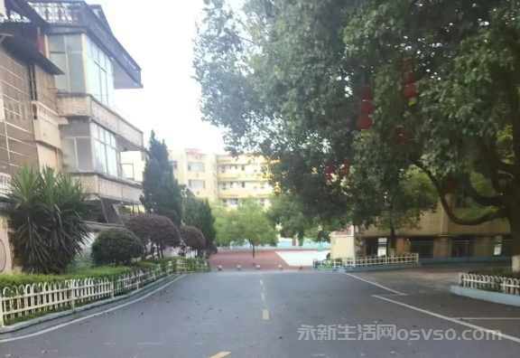 陈芳兰:咱们跑步去图1