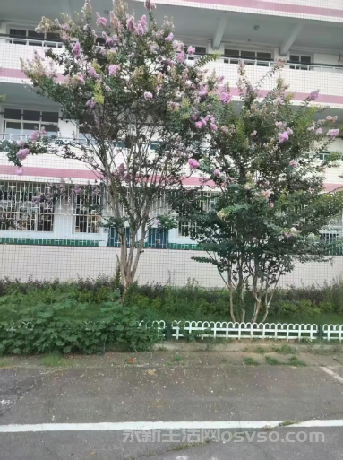 陈芳兰:咱们跑步去图2