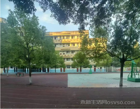 陈芳兰:咱们跑步去