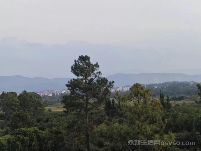 想您，在每一个富足的日子图2