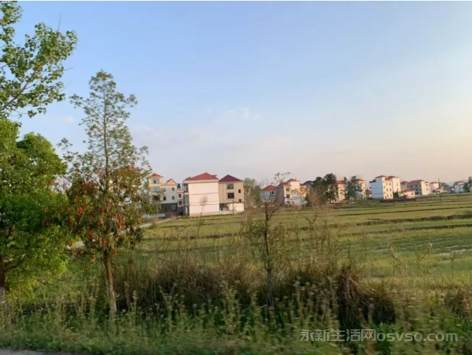 想您，在每一个富足的日子图3