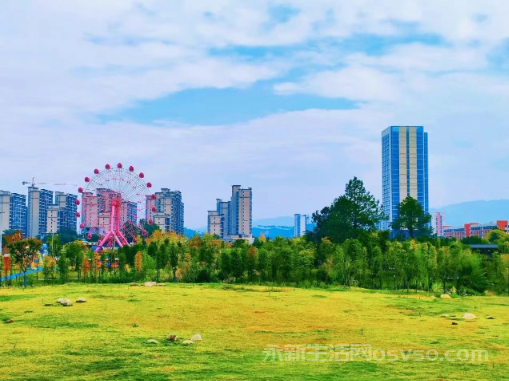 永新湿地公园:秋日湿地 色彩斑斓