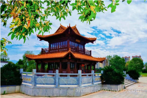 永新湿地公园:秋日湿地 色彩斑斓