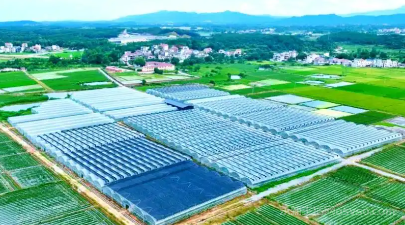 永新县现代农业示范园农耕文化园招租公告