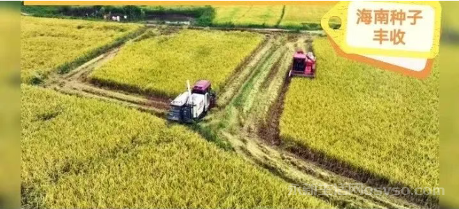 种子情结:一段永不停息的耕耘