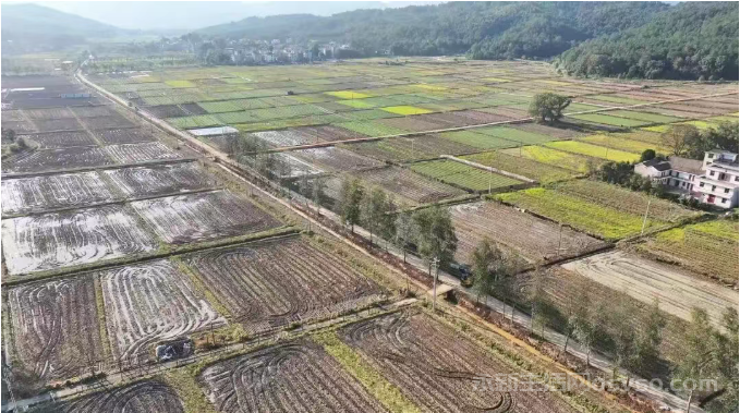 永新烟阁乡长富村:大力推进高标准农田建设