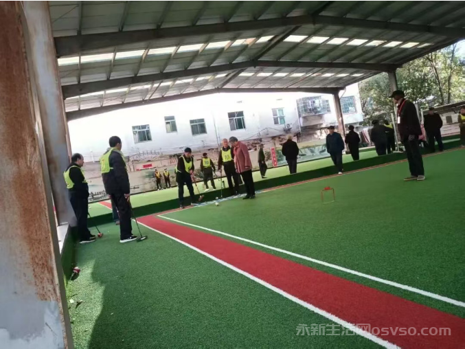 永新县成功举办2025年老年人门球大赛