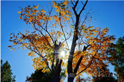 永新：冬色如画