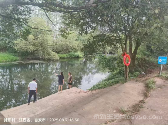 在中乡近期多项民生工程落地见效——民生实事暖人心乡村振兴展新颜