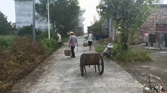 在中乡近期多项民生工程落地见效——民生实事暖人心乡村振兴展新颜