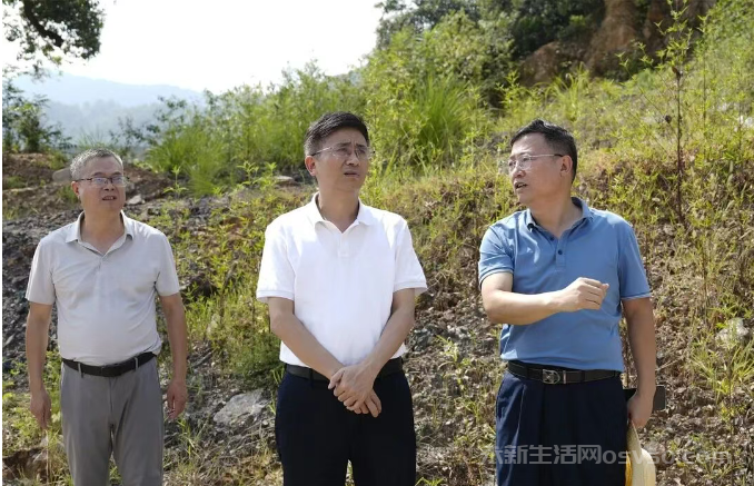 古秋云调研督导国省道交通安全风险隐患治理工作