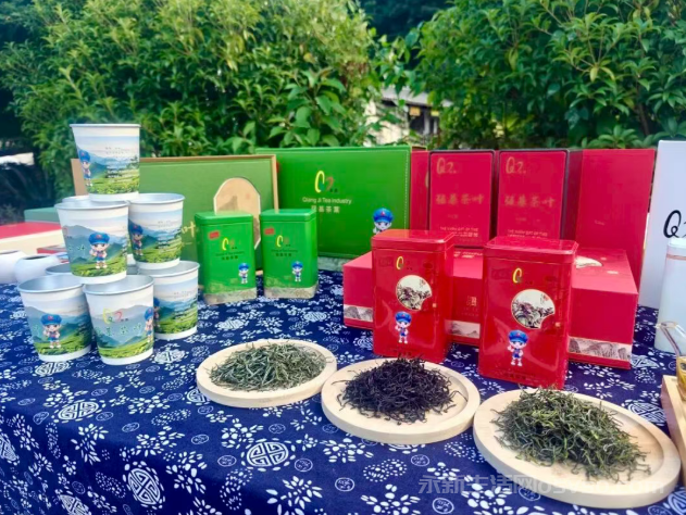 澧田镇“和子四珍” 油纸伞 茶叶走进央视栏目啦!
