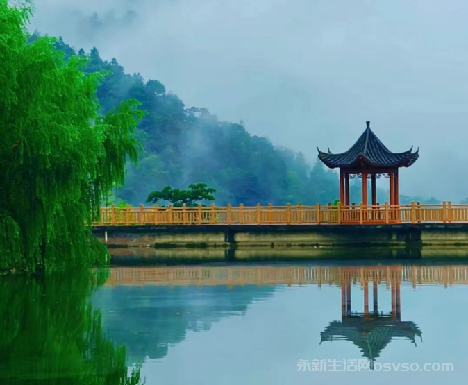 江西永新:黄竹岭上秋意浓