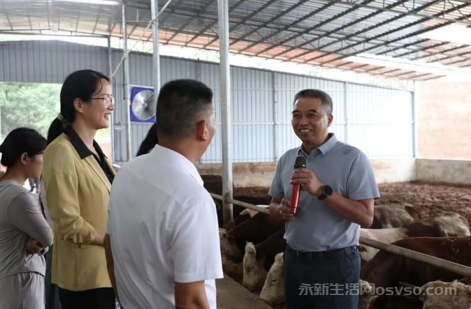 永新莲洲乡：观摩学习促提升 共探肉牛产业发展新路径图2