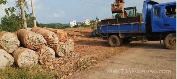 澧田镇依法拆除违法占地建筑,坚决守牢耕地保护红线